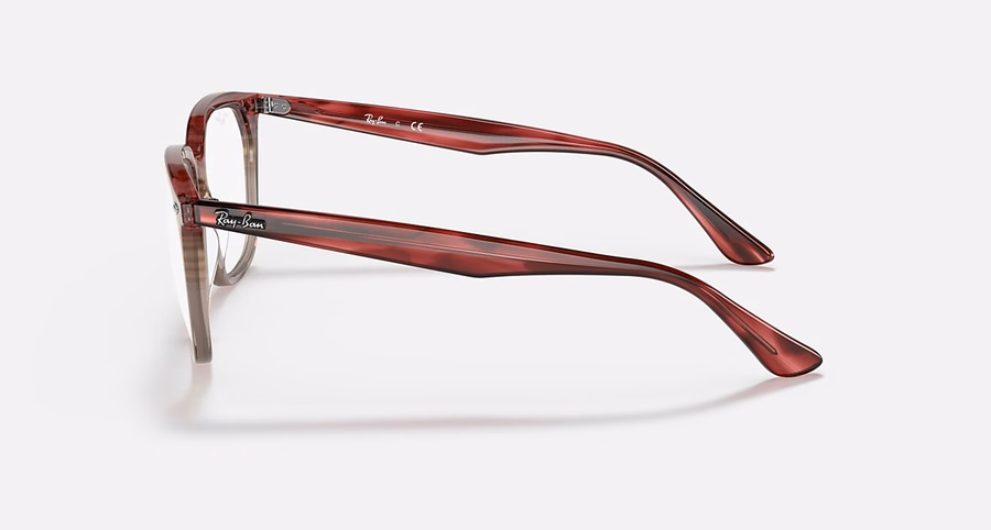 RB4362 OPTIEK