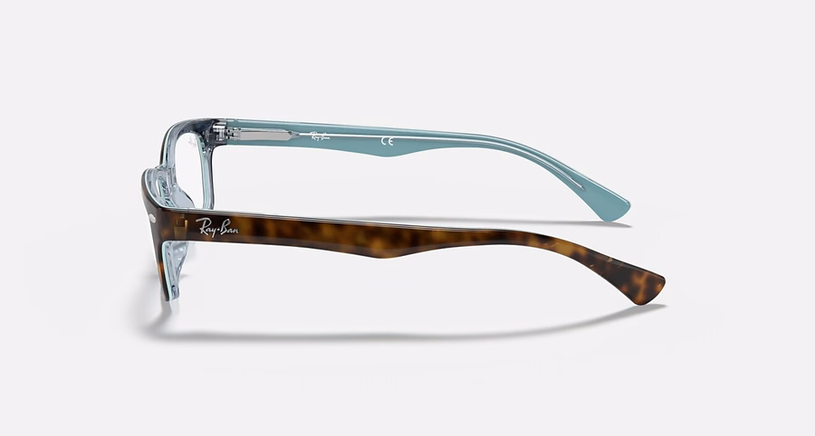 RB5150 OPTIEK