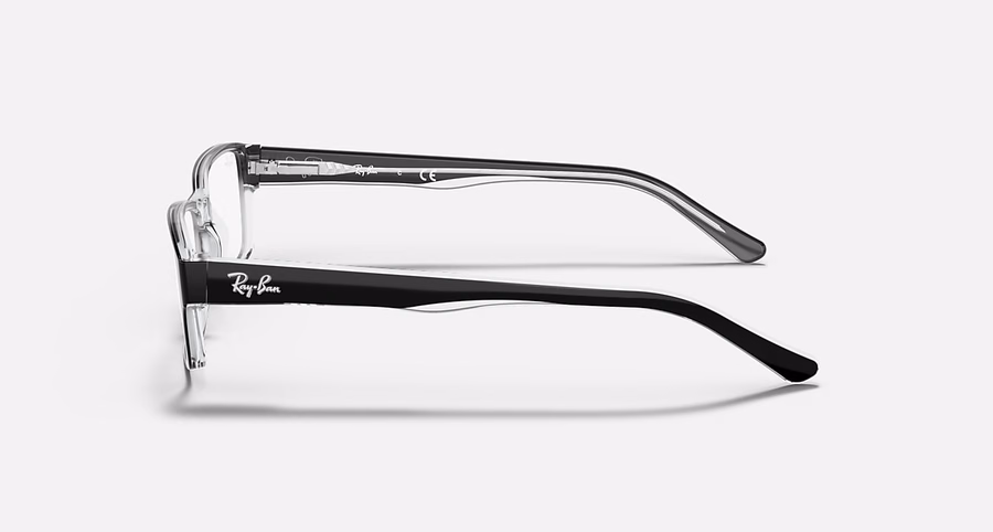 RB5169 OPTIEK