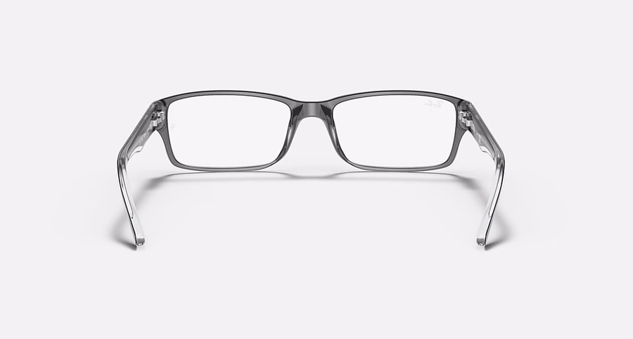 RB5169 OPTIEK