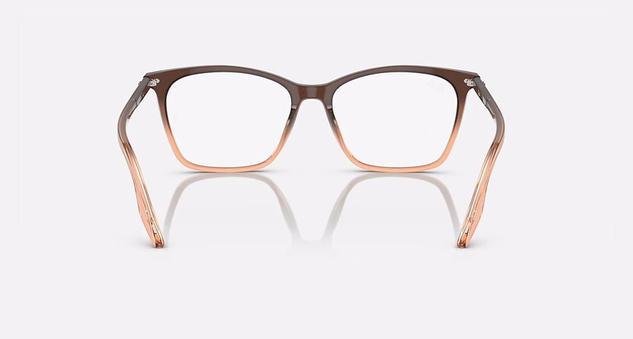 RB5422 OPTIEK