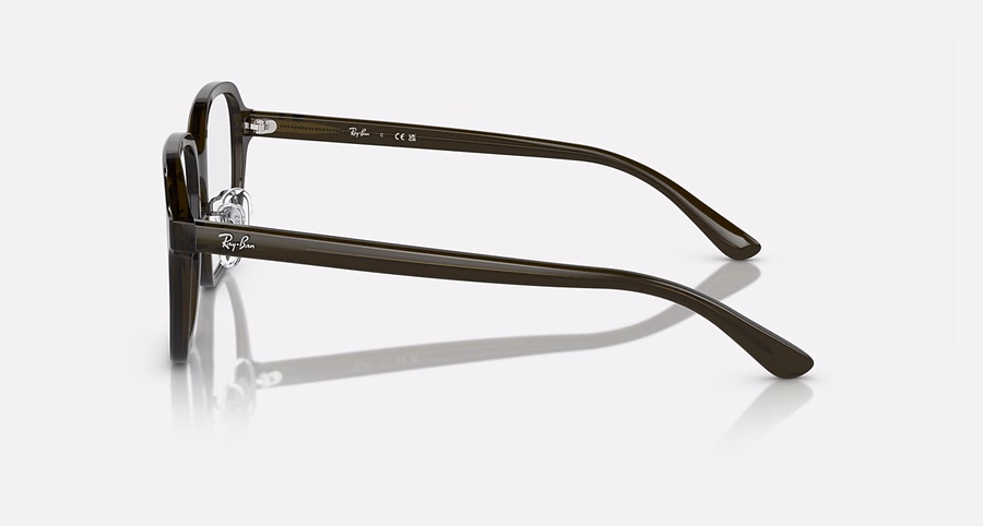 RB5424D OPTIEK