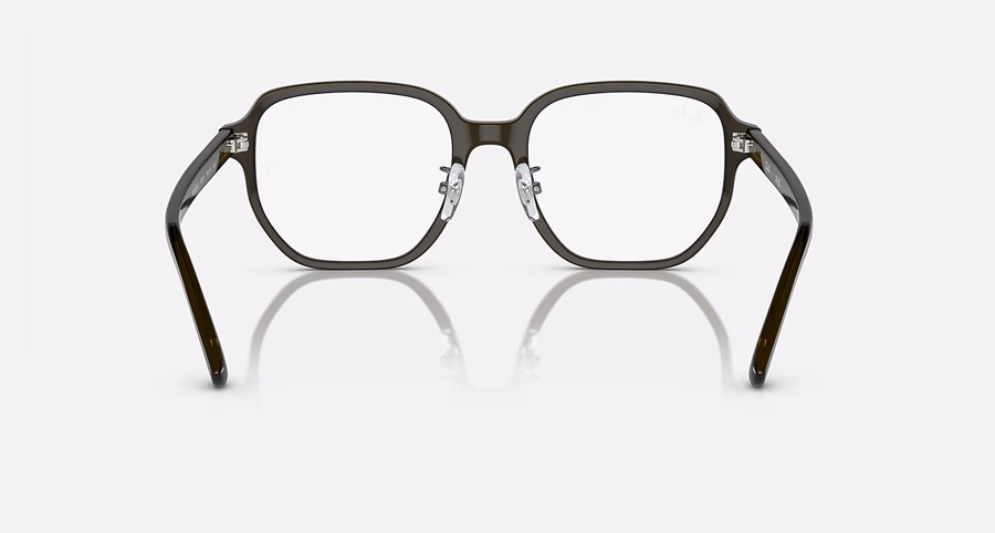 RB5424D OPTIEK