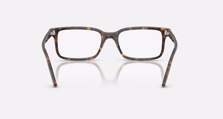 RB5445 OPTIEK