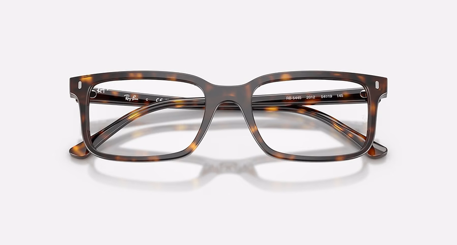 RB5445 OPTIEK