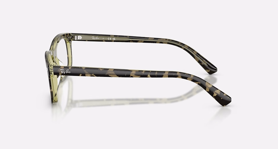RB5450 OPTIEK