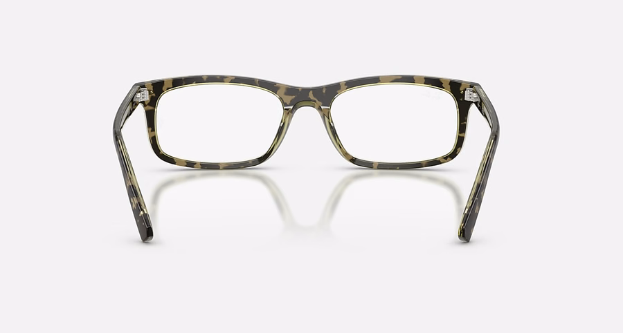 RB5450 OPTIEK