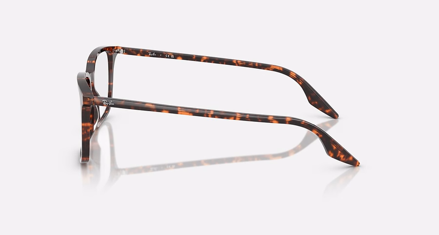 RB5421 OPTIEK