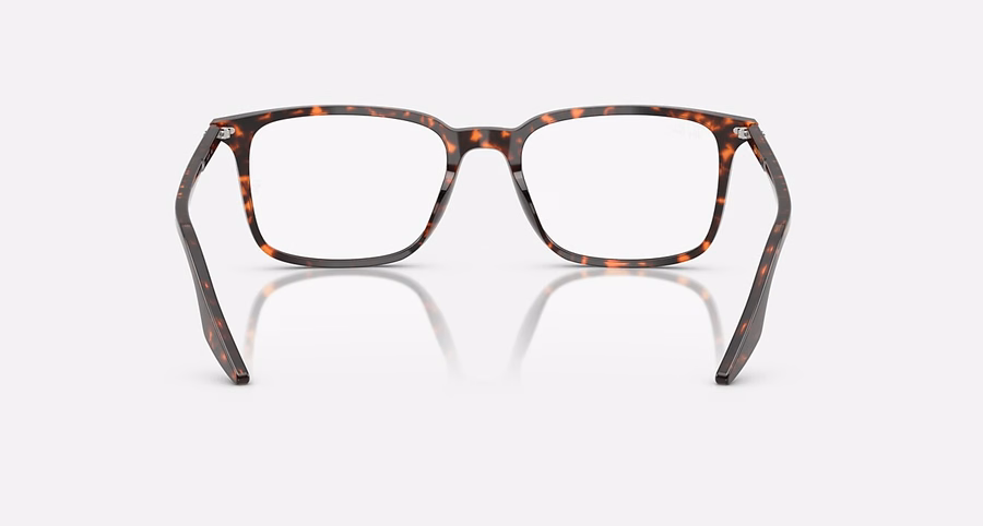 RB5421 OPTIEK