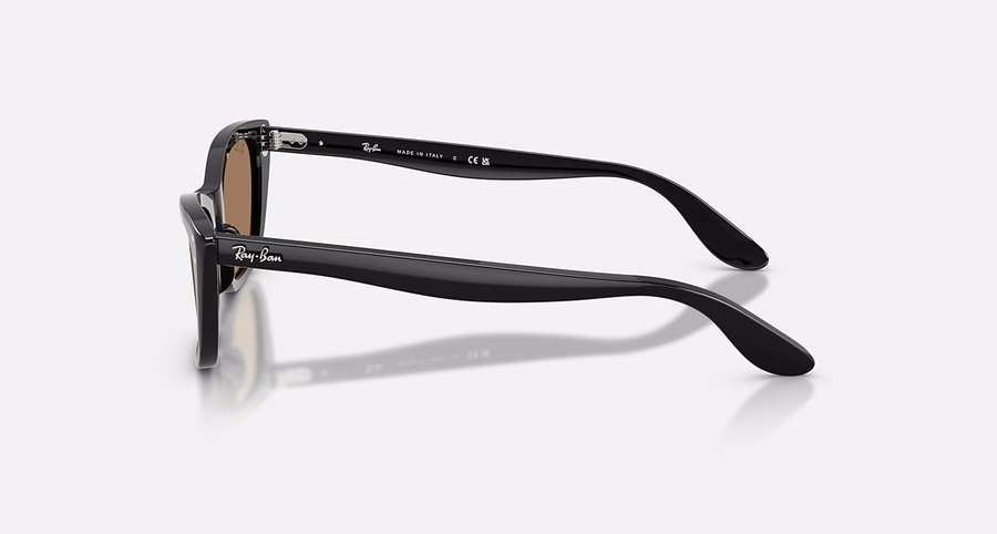 LADY BURBANK POLARIZED+ LENZEN